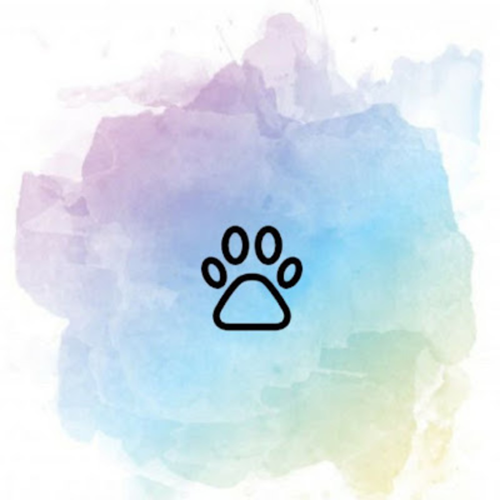 Meet your Posher, Maddie